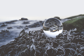 Image showing Glass orb on frozen leaves in the winter