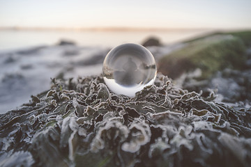 Image showing Crystal ball in the nature with a silhouette of a person