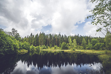 Image showing Calm lake wirh dark water in the middle of a forest