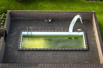 Image showing Swimming pool in a garden with green water