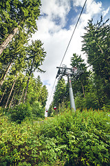 Image showing Mountain lift on a green forest with tall pine