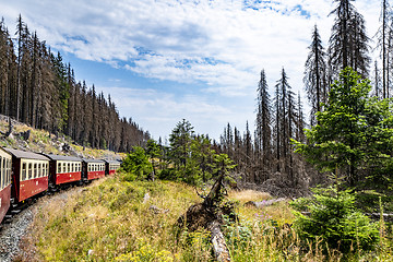 Image showing Old train wagons on a railroad in a forest