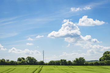 Image showing Green fields in a rural countryside landscape