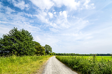 Image showing Rural landscape with a nature trail