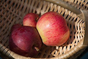 Image showing  Ripe red apples in the basket.