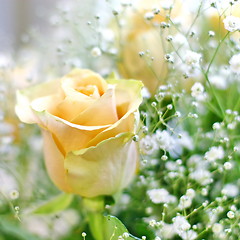 Image showing Beautiful bouquet of yellow roses and white little flowers with blur background