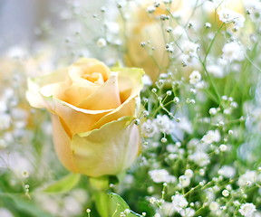 Image showing Beautiful bouquet of yellow roses and white little flowers with blur background