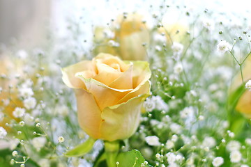 Image showing Beautiful bouquet of yellow roses and white little flowers with blur background