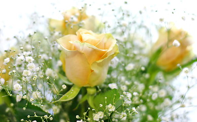 Image showing Beautiful bouquet of yellow roses and white little flowers with blur background