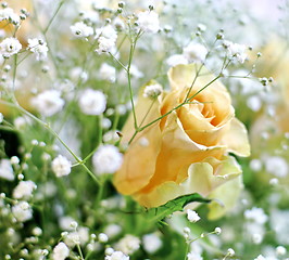 Image showing Beautiful bouquet of yellow roses and white little flowers with blur background