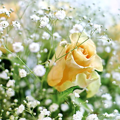 Image showing Beautiful bouquet of yellow roses and white little flowers with blur background