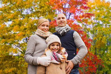 Image showing happy family over autumn park background