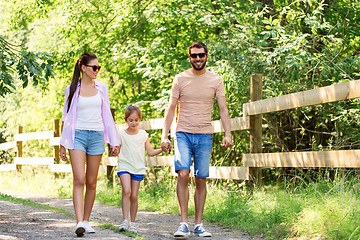 Image showing happy family walking in summer park