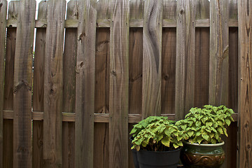 Image showing green potted plants against old wooden fence