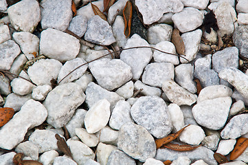 Image showing White Stone Background with leaves