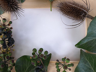 Image showing Thistle and Ivy Frame