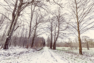 Image showing Winter landscape with a road covered with snow