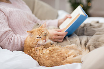 Image showing red cat and female owner reading book at home