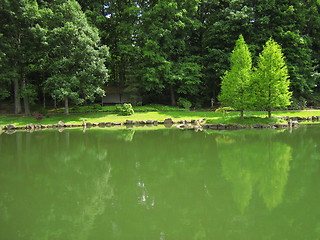Image showing Reflection of trees in lake water
