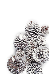 Image showing White decorative pine cones.