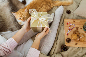 Image showing close up of female hands holding christmas gift