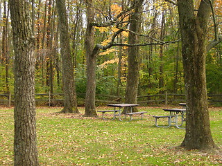 Image showing Bench in forest