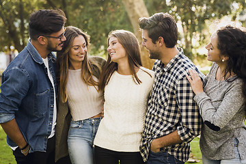 Image showing Friends at the park