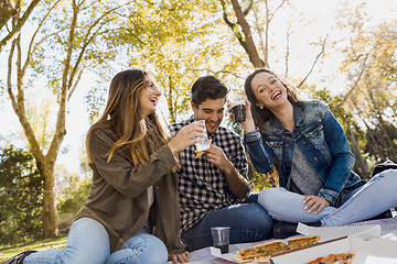 Image showing Pizza with Friends