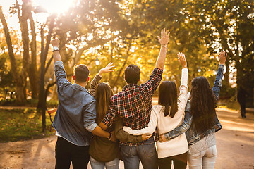 Image showing Group of friends in the park