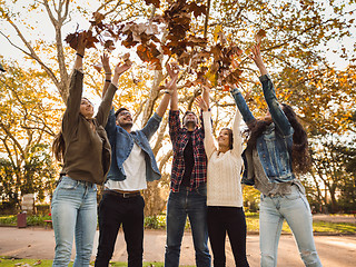 Image showing Friends having fun throwing leaves in the air