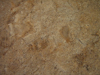 Image showing Close-up photo of sandstone