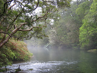 Image showing South American river