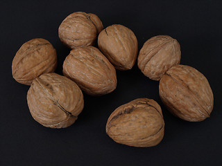 Image showing Walnuts on Black