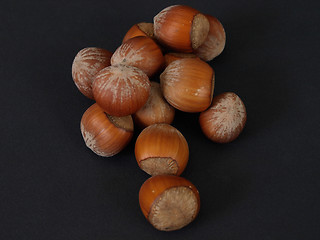 Image showing Hazelnuts on Black