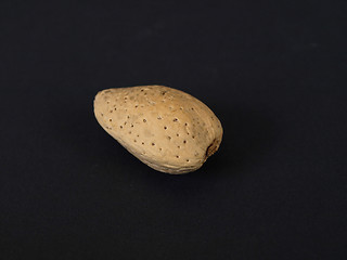 Image showing Almond on Black