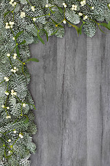 Image showing Mistletoe and Spruce Fir Background Border