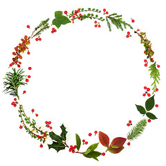 Image showing Winter Flora Wreath Garland