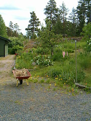 Image showing Grandmother's Weelbarrow