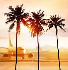 Image showing palms and airport