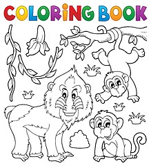 Image showing Coloring book monkey theme 4