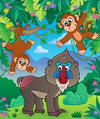 Image showing Monkey theme image 2