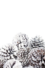 Image showing White decorative pine cones.