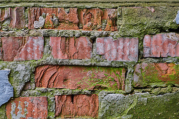 Image showing Old red brick wall with moss