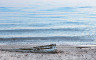 Image showing Dry Log On The Sand At The Water's Edge