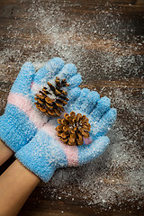 Image showing Hands in gloves holding pinecone