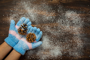 Image showing Hands in gloves holding pinecone