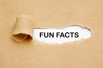 Image showing Fun Facts Torn Paper Concept