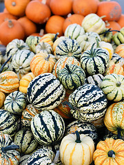 Image showing Pile of pumpkins