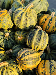 Image showing Halloween Pumpkins in market in a large pile