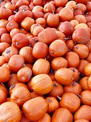 Image showing Pile of pumpkins